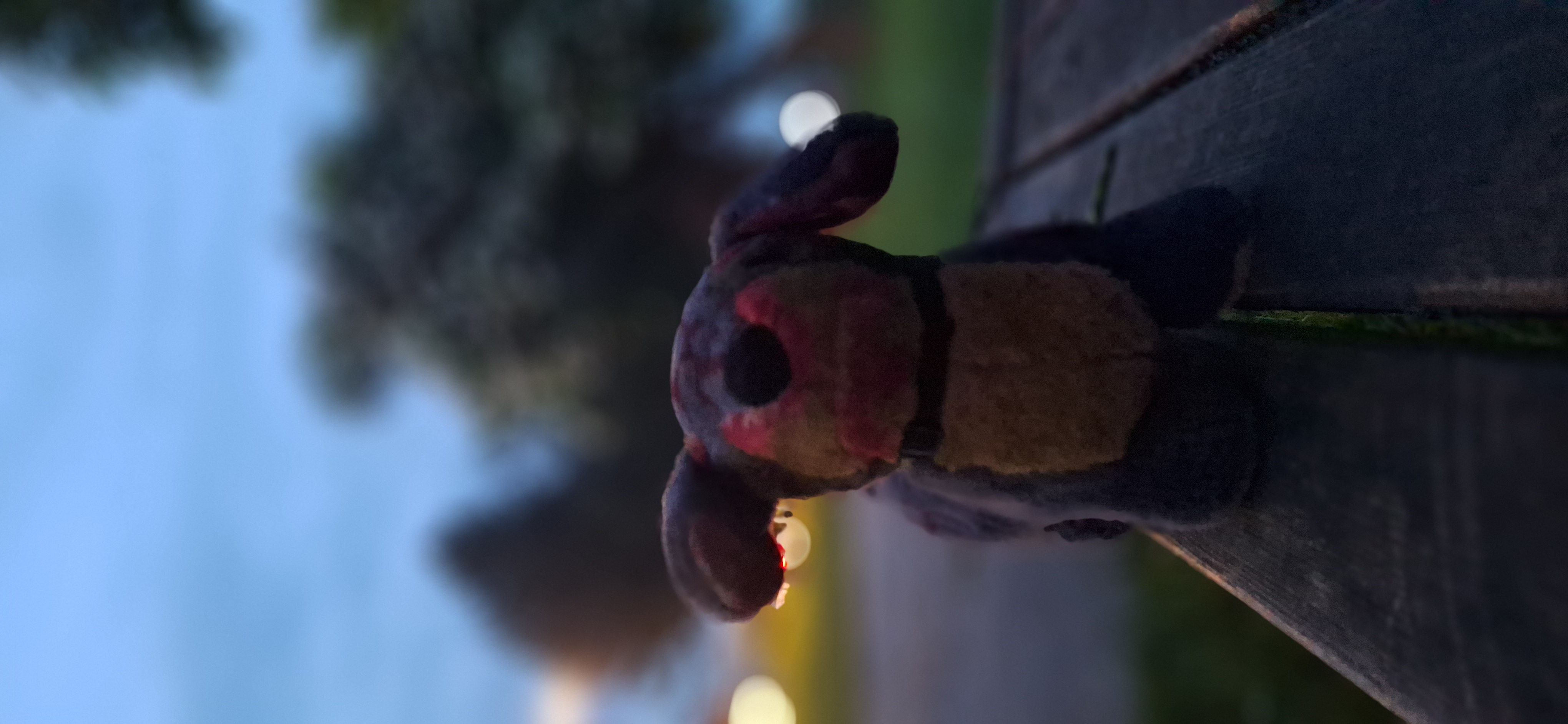Fotografija 6